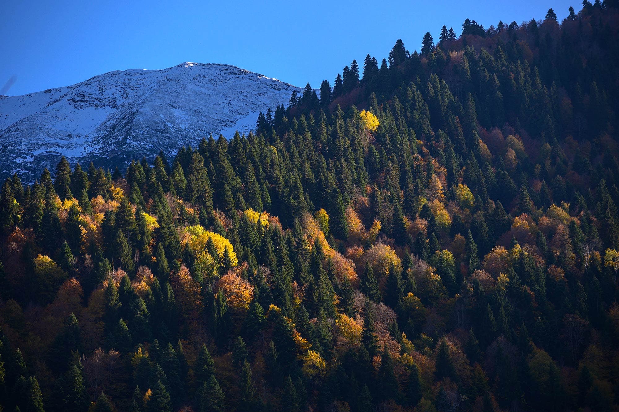 Autumn Svaneti, Georgia