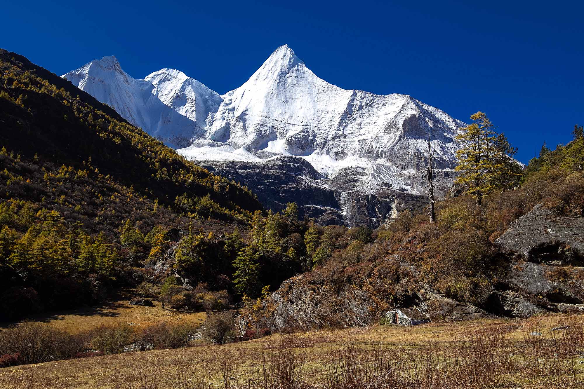 ํYading