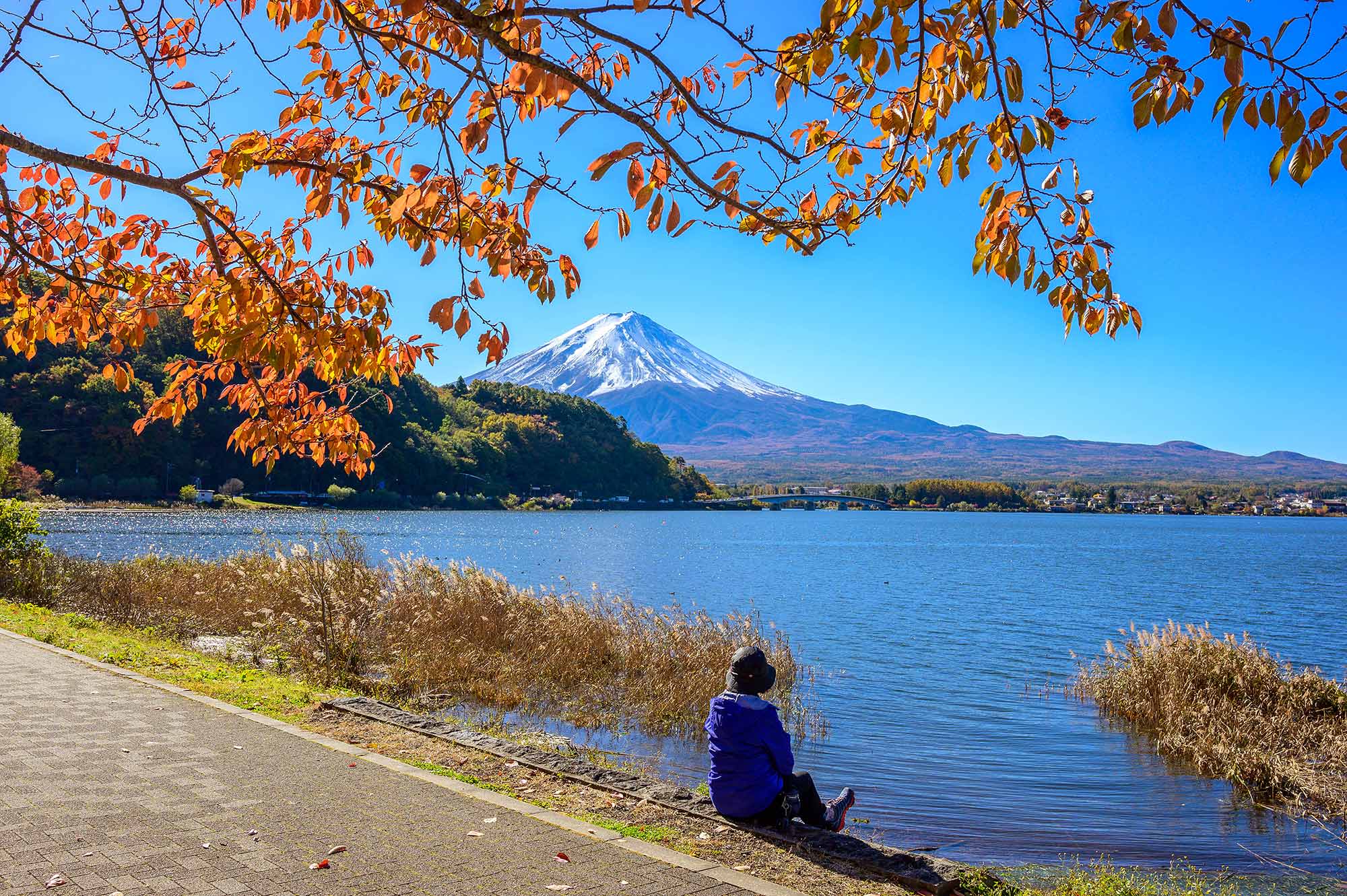 เรื่องน่ารู้ของภูเขาไฟฟูจิ (Fujisan) - Amazingcouple.net